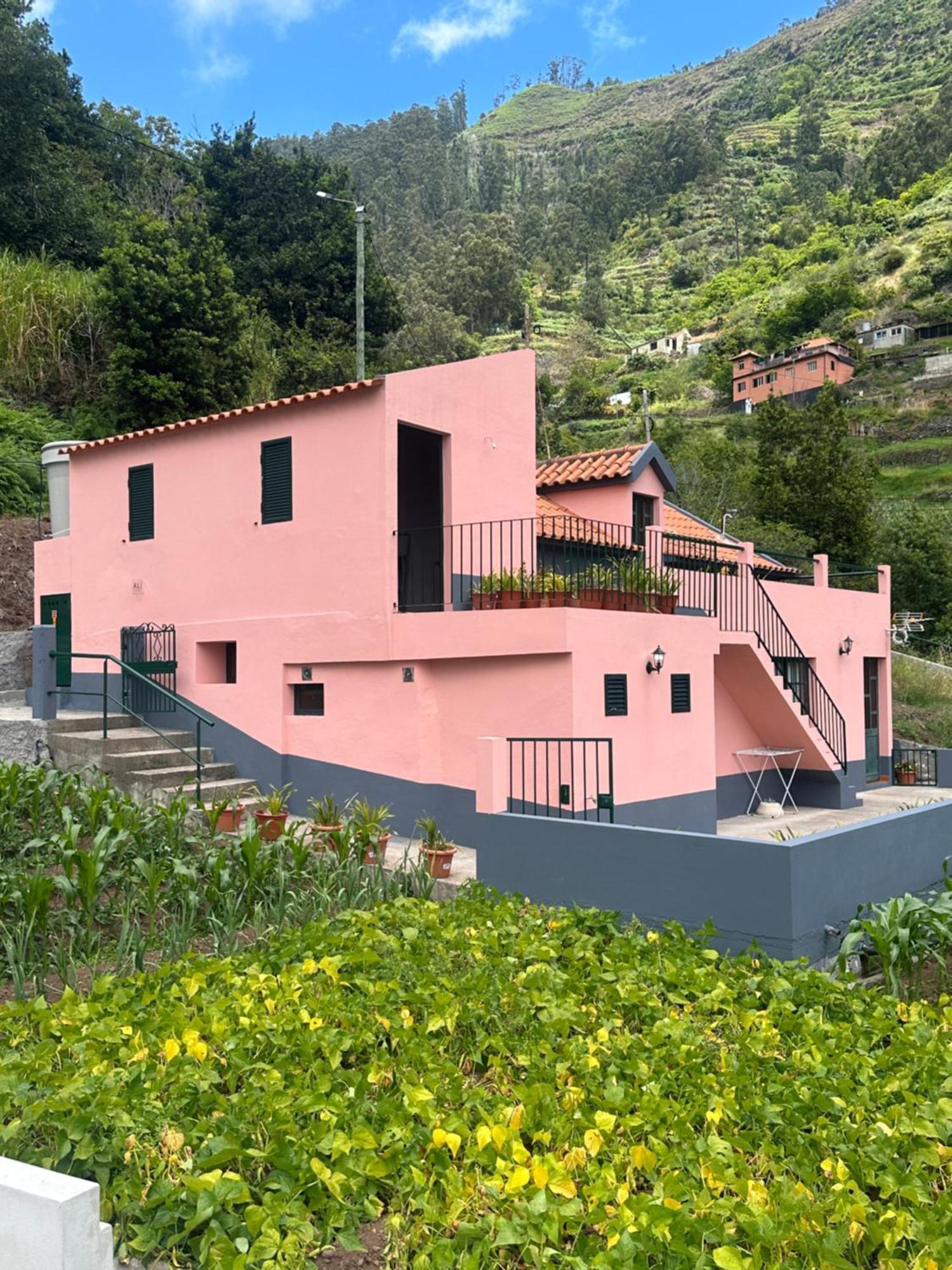 Casa Rosa Villa Ribeira Brava Exteriör bild