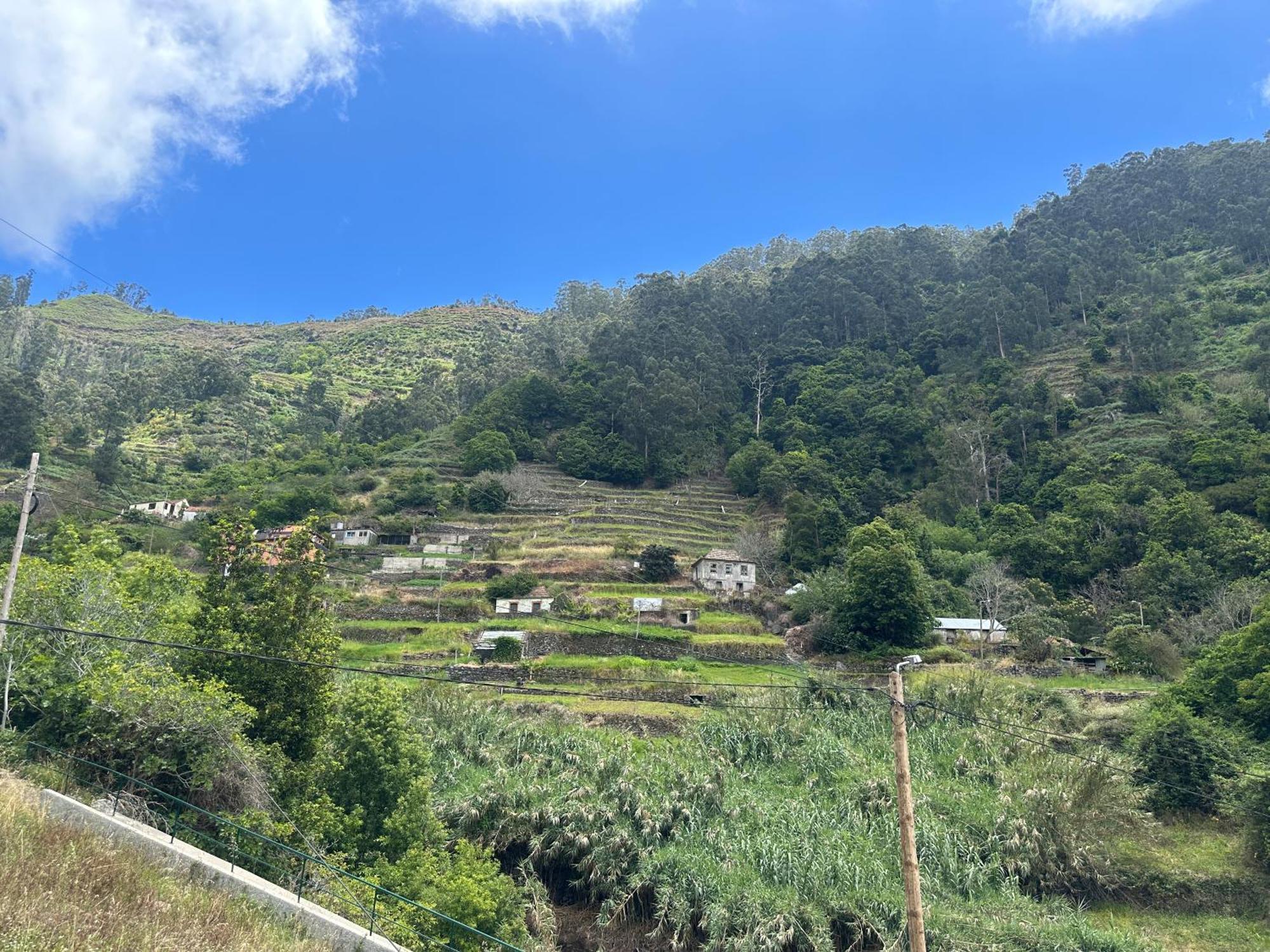 Casa Rosa Villa Ribeira Brava Exteriör bild